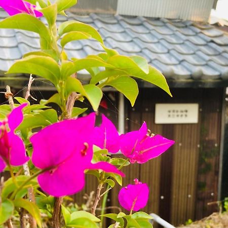 Guesthouse Nichinan - Vacation Stay 82905V Exteriér fotografie